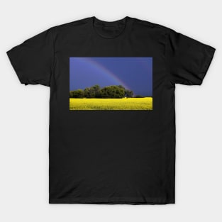 Trees, A Canola Field and a Rainbow T-Shirt